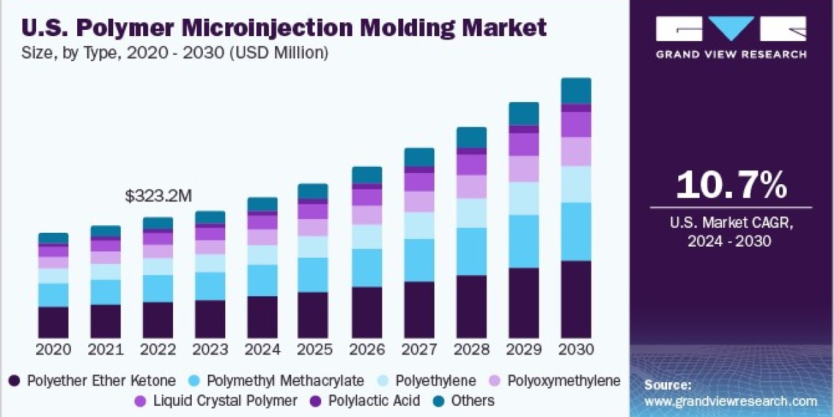 Polymer Microinjection Molding Market Insights Reveal Key Players and Competitive Landscape