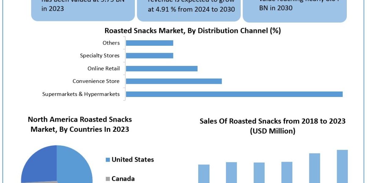 Roasted Snacks Market Regional Growth Status, CAGR Value, and Leading Countries In-depth Analysis 2030