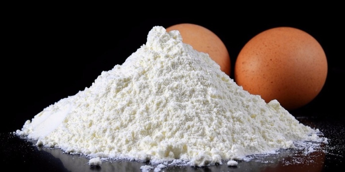 Egg Protein Market Customer or Geographic Landscape 2023-2031