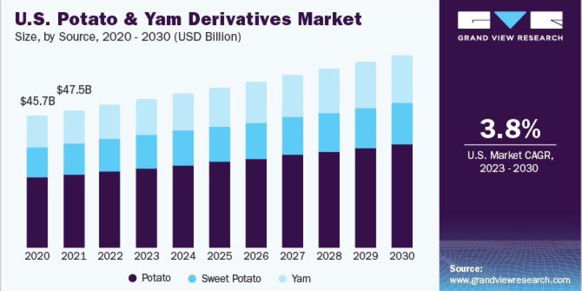 Potato & Yam Derivatives Market Expansion Fueled by New Product Developments and Launches