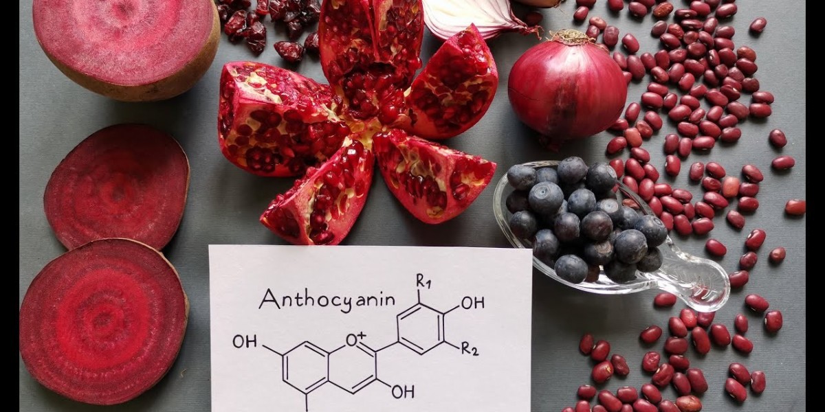 Anthocyanin Market Segmentation Analysis for Targeted Strategies