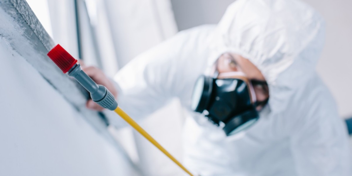 Eco-Friendly Pest Control Solutions for Oakville Residents