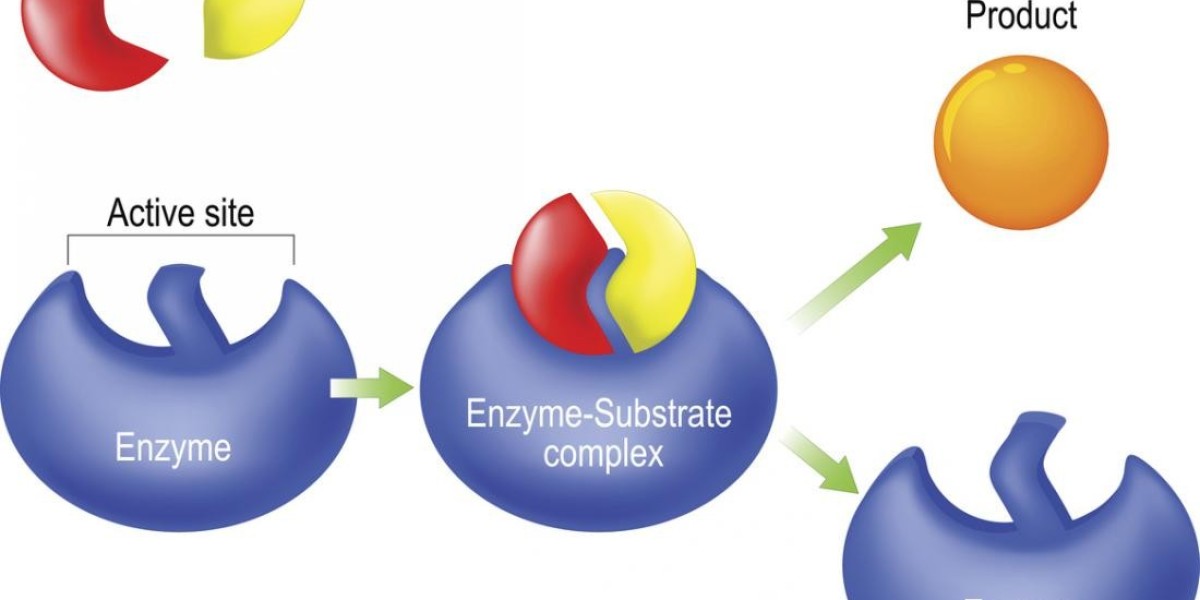 Enzyme Industry Eyes Sustainable Growth with 4.9% CAGR