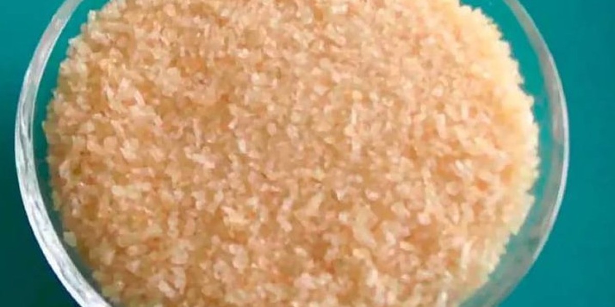 Fish Gelatin Market Demand Forecast by Application: Understanding Market Trends and Consumer Preferences