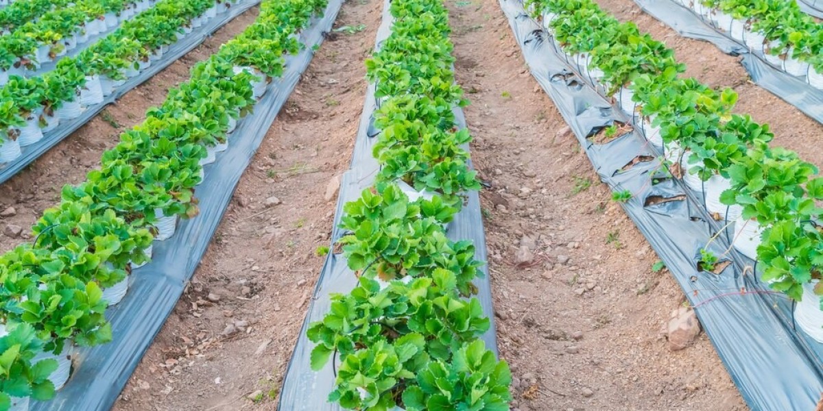 Agricultural Textiles Market Forecast and Intelligence: Key Developments and Emerging Trends