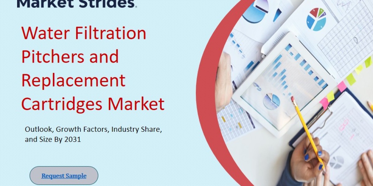 Future of the Water Filtration Pitchers and Replacement Cartridges Market: Size, Share, and Forecast to 2033