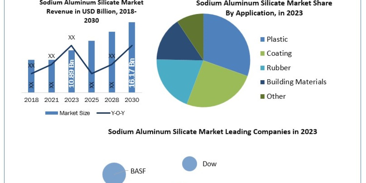 Sodium Aluminum Silicate Size, Revenue, Future Plans and Growth, Trends Forecast 2030