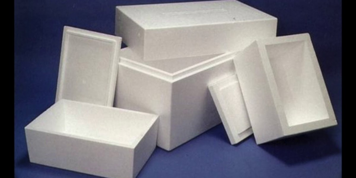 Temperature Controlled Packaging Market Future Outlook: A Detailed Forecast of Market Trends and Growth Prospects