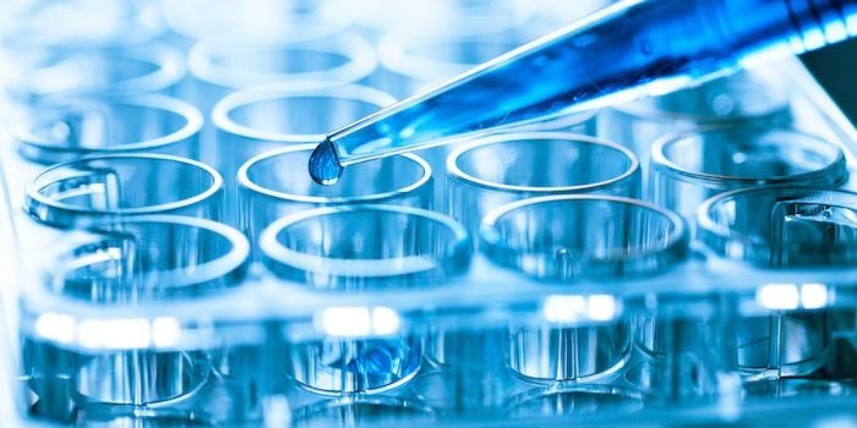 Biobetters Market Challenges: Regulatory Hurdles, Cost-Effectiveness, and Ethical Considerations in Biotechnology