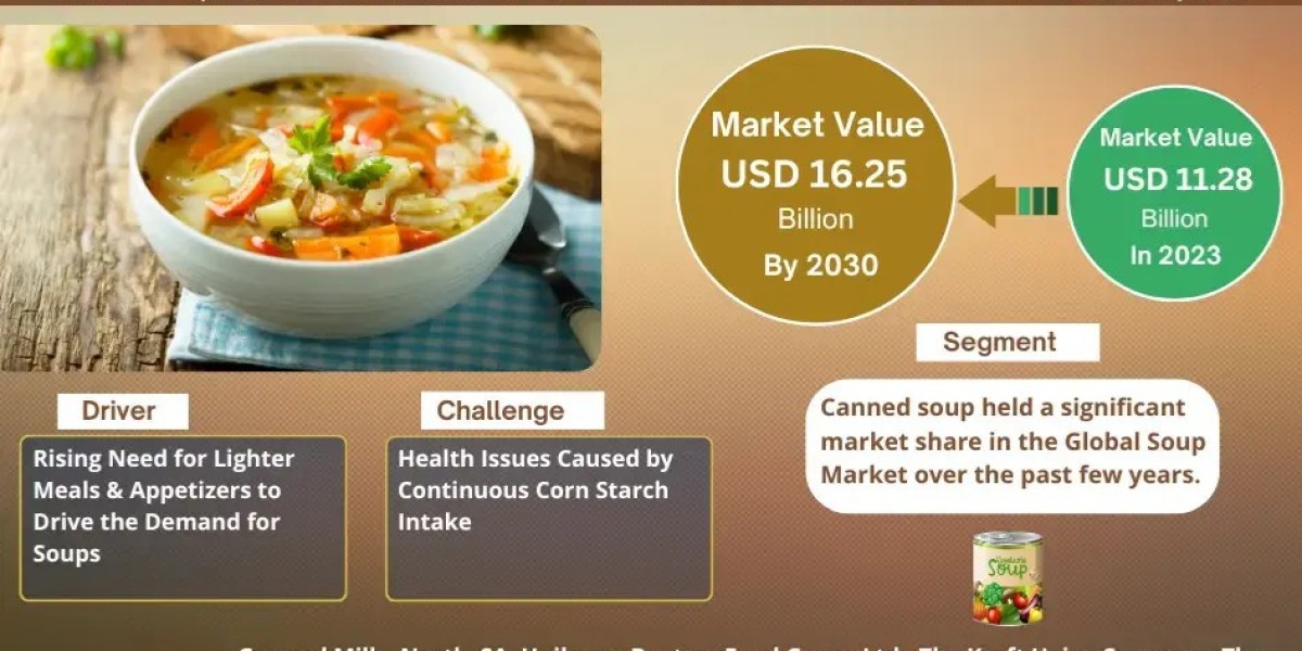 Explosive Growth Expected:  Soup Market to Expand at 3.85% CAGR Through 2030