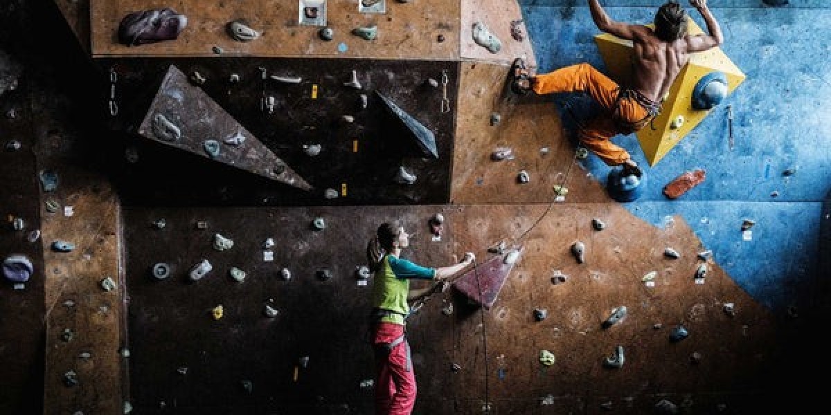 Vertical Ventures: The Economics of Climbing Gyms