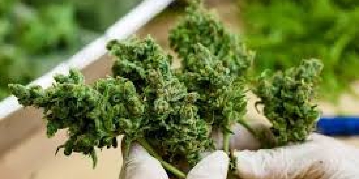 Organic Flower Pickup at Ken Caryl's Premier Weed Dispensary: A Complete Guide