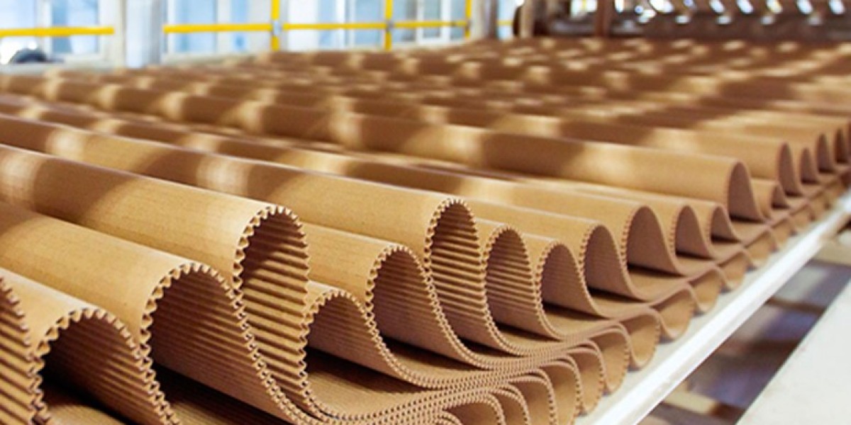 Corrugated Fanfold Market Trends and Innovations: Uncovering Emerging Shifts and Strategic Moves