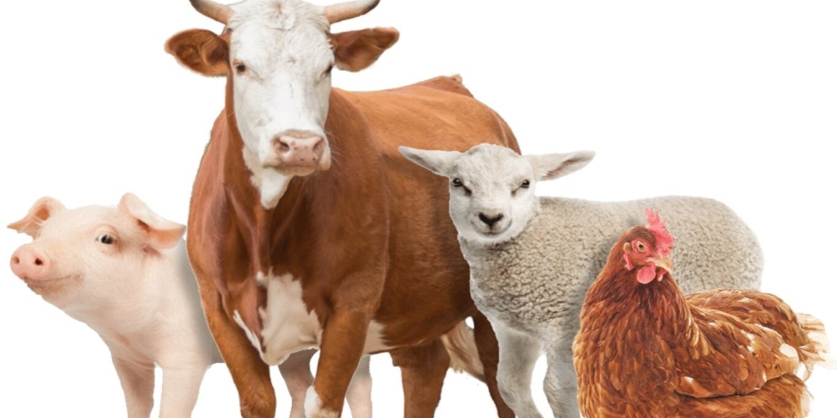 Animal Nutrition Market: Exploring the Drivers and Barriers Shaping the Future