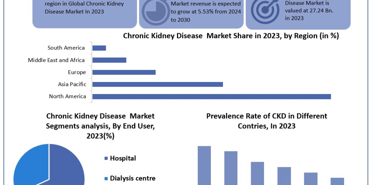 Chronic Kidney Disease Market 	Metrics Matrix: Segmentation, Outlook, and Overview in Market Dynamics | 2024-2030