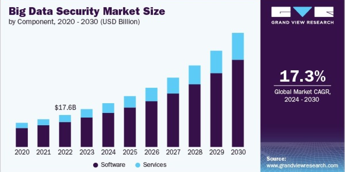 Big Data Security Market 2030: The Importance of Cyber Risk Management