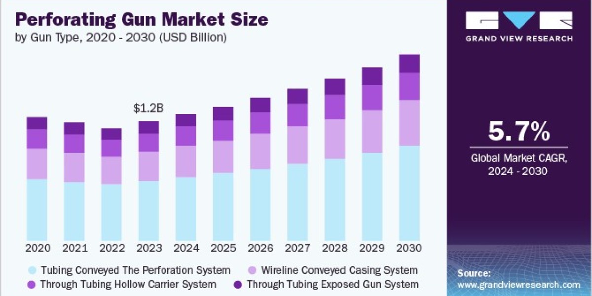 Perforating Gun Market 2030: Insights into Market Segmentation and Growth