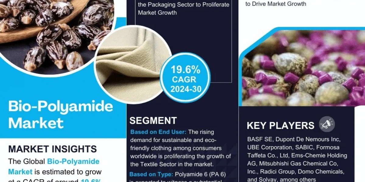 Bio-Polyamide Market Breakdown By Size, Share, Growth, Trends, and Industry Analysis