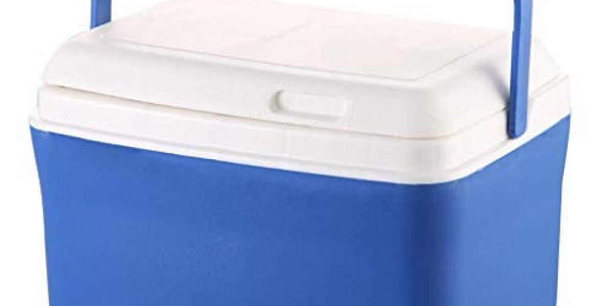 Ice Boxes Market Research Forecasting Future Growth and Market Trends