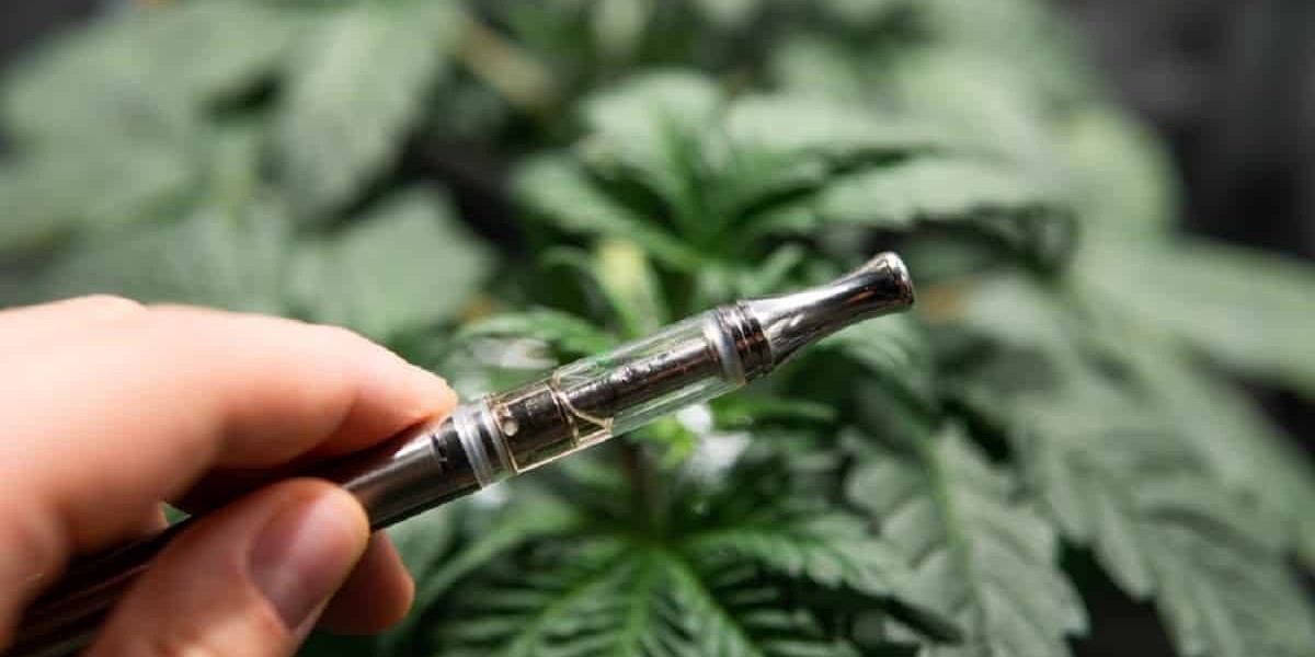 CBD Vapes Market: Overcoming Regulatory and Consumer Perception Hurdles