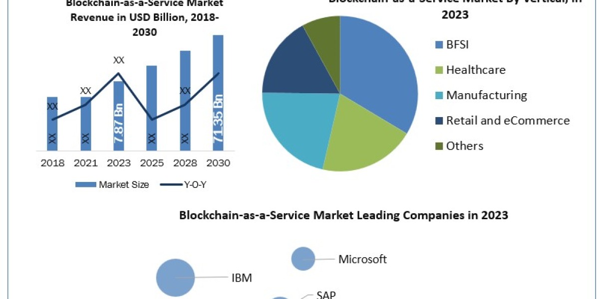 Blockchain-as-a-Service Market Product Type Coal Gasification with Carbon Capture Storage 2030