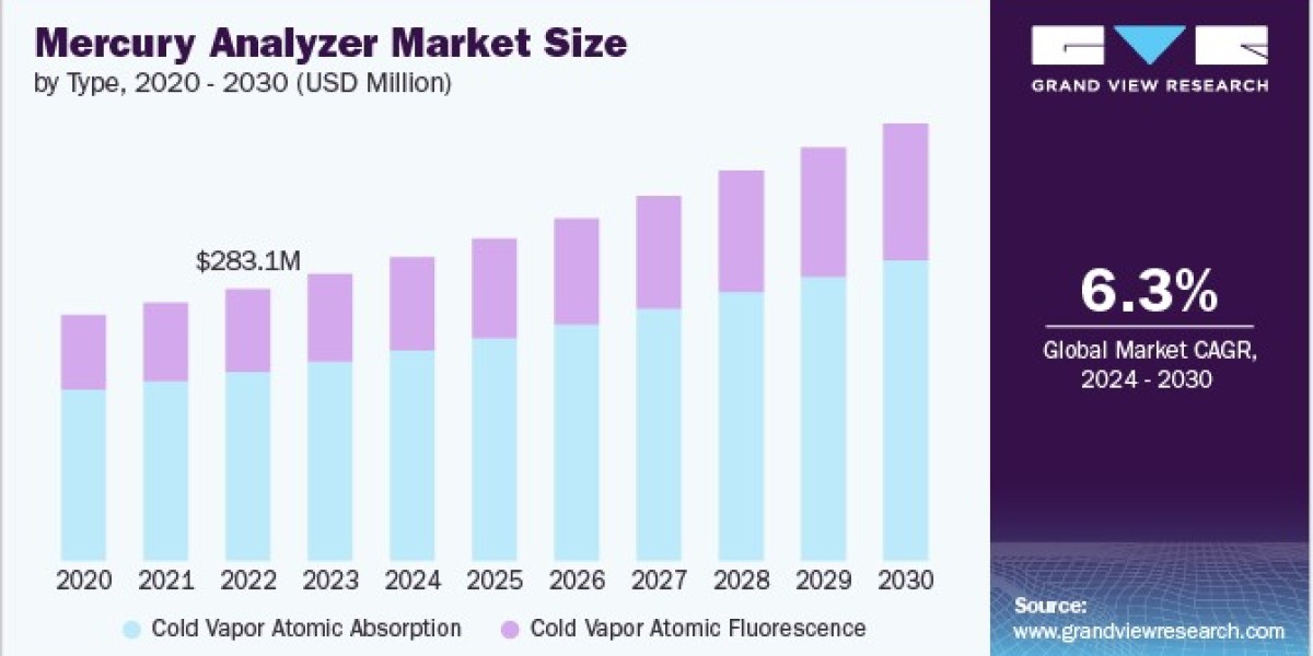 Mercury Analyzer Market 2030: Key Players Shaping the Future of Mercury Detection