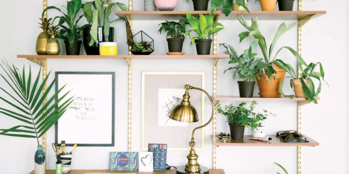 Artificial Plants Market: Emerging Trends in Realism, Sustainability, and Customization
