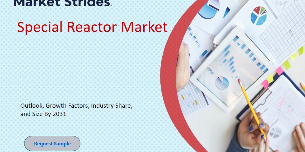Special Reactor Market Growth and Opportunities, 2025-2033