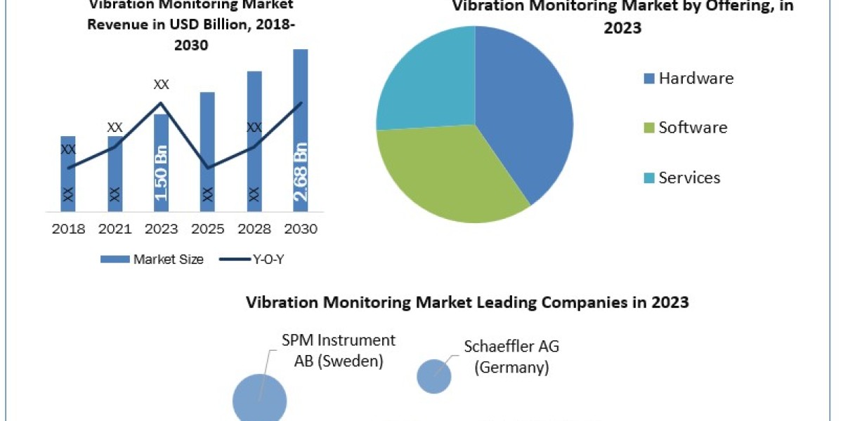Vibration Monitoring Market Trends, Size, Top Leaders, Future Scope and Outlook 2030
