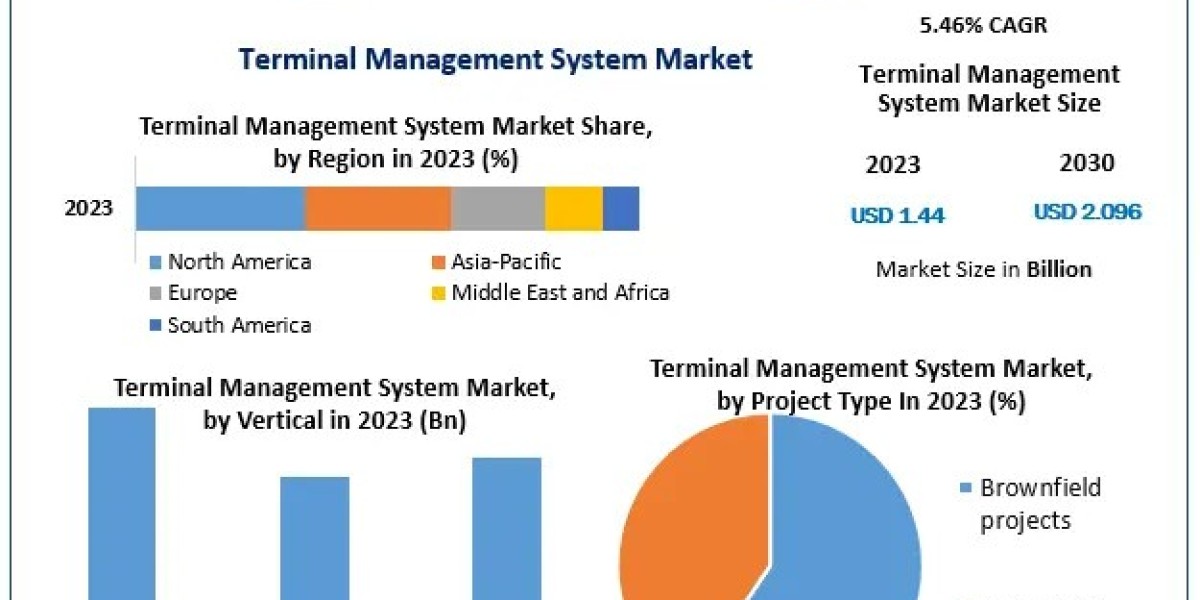 Terminal Management System Market: Global Growth Forecast to 2030