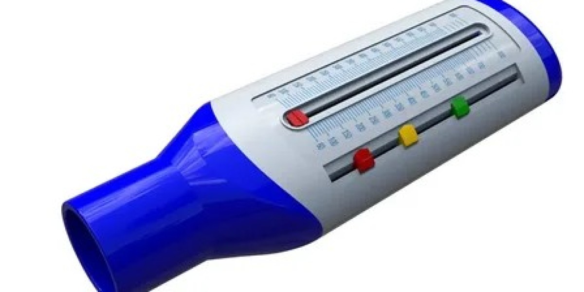 Peak Flow Meter Market: Exploring the Increasing Scope in Preventative Healthcare