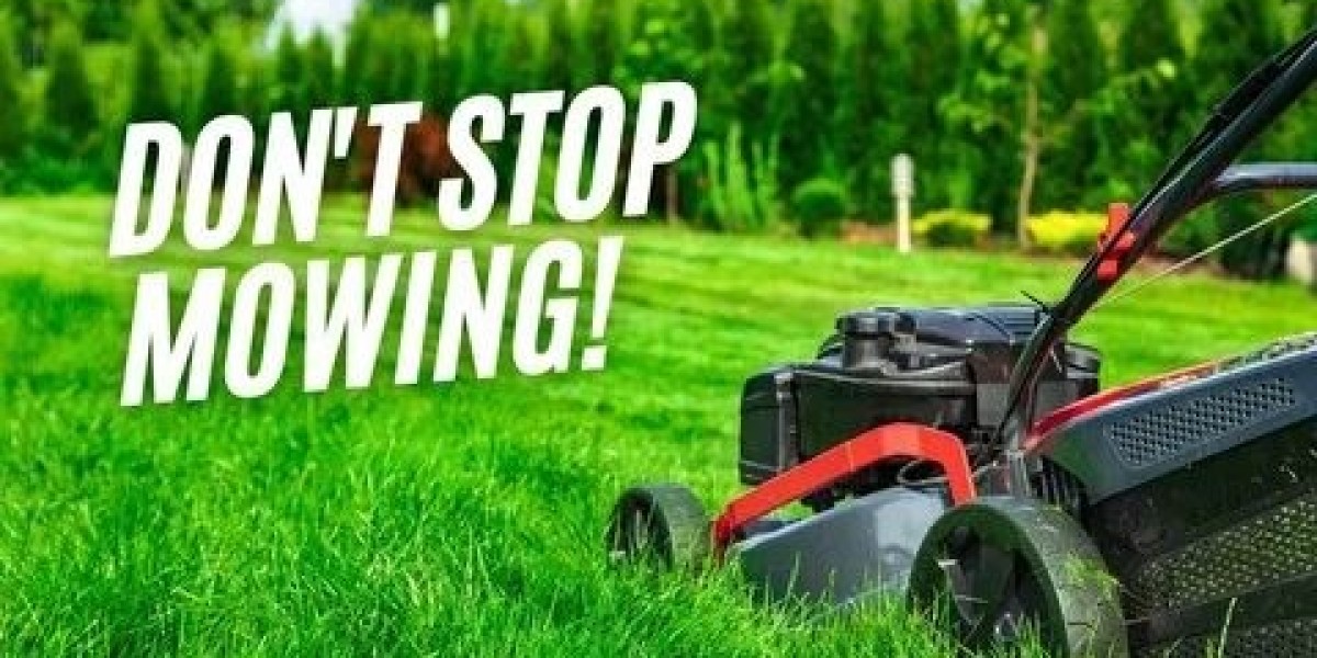 Expert Lawn Care Services for a Lush, Green Yard