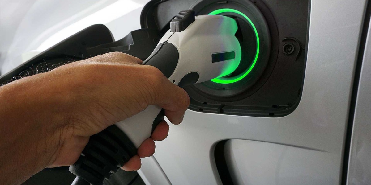 Electric Vehicle Charger Rental Service Market Shifts and Disruptions: Adapting to a Dynamic Environment
