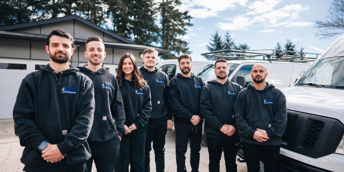 Leading Water Damage Companies: Eco Water Restoration Stands Out
