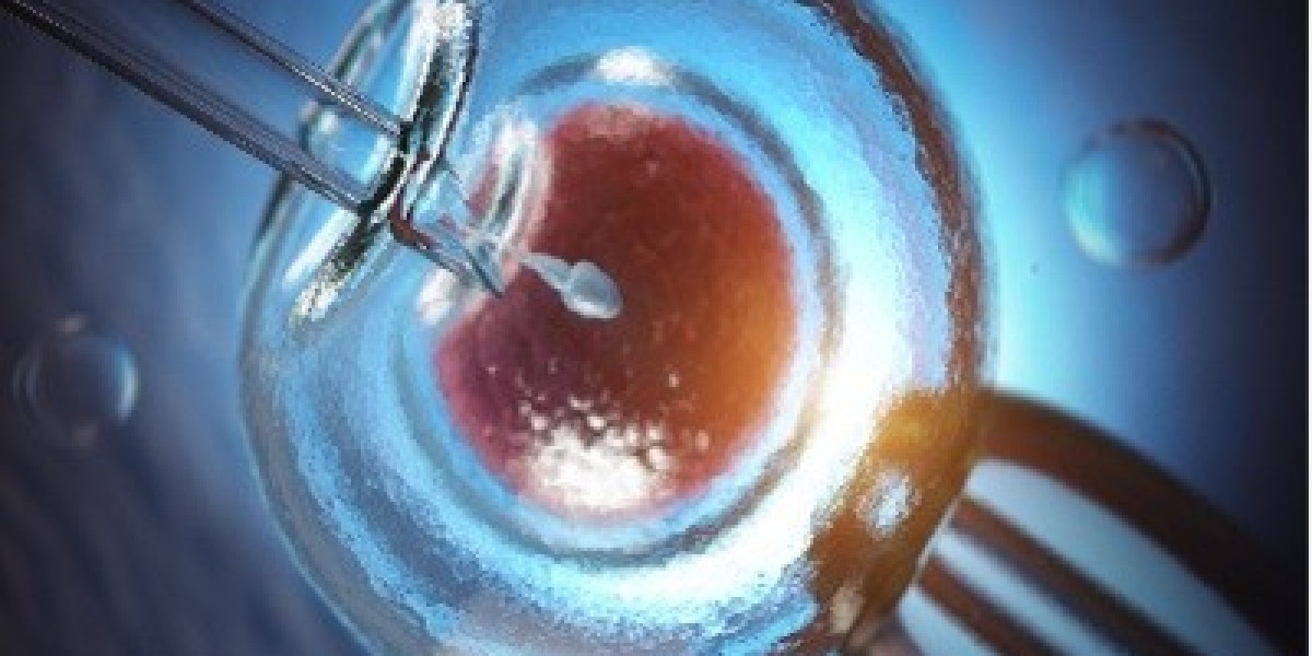 In Vitro Fertilization Market Latest Trends with Future Insights by 2034