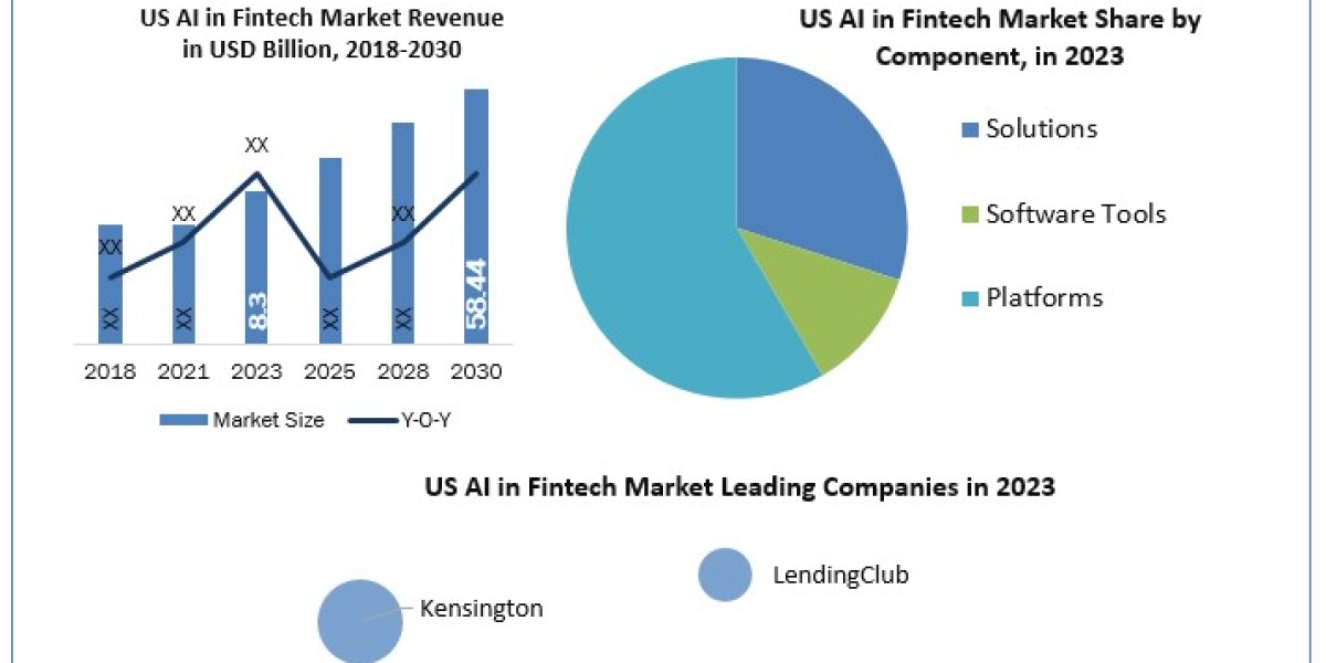 US AI in Fintech Market Leading Players, Analysis, Sales Revenue and Forecast 2030
