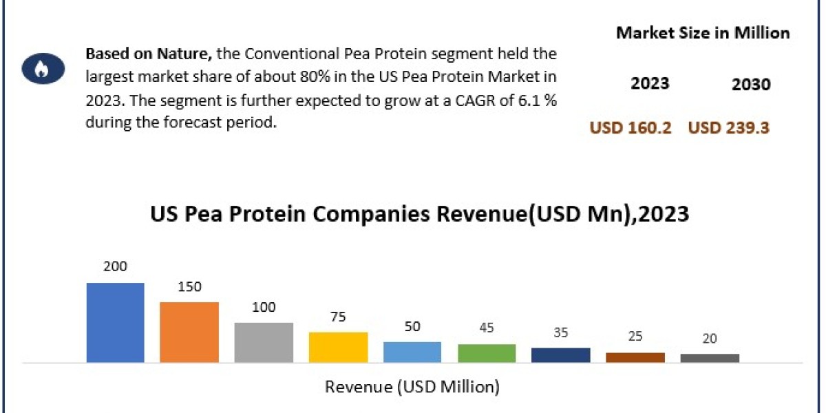 US Pea Protein Market Report Provide Recent Trends, Opportunity, Restraints and Forecast-2030