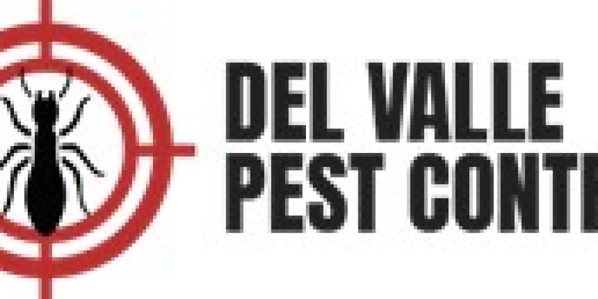 Mosquito Control in Pharr: Protecting Your Home and Family from Disease-Causing Pests