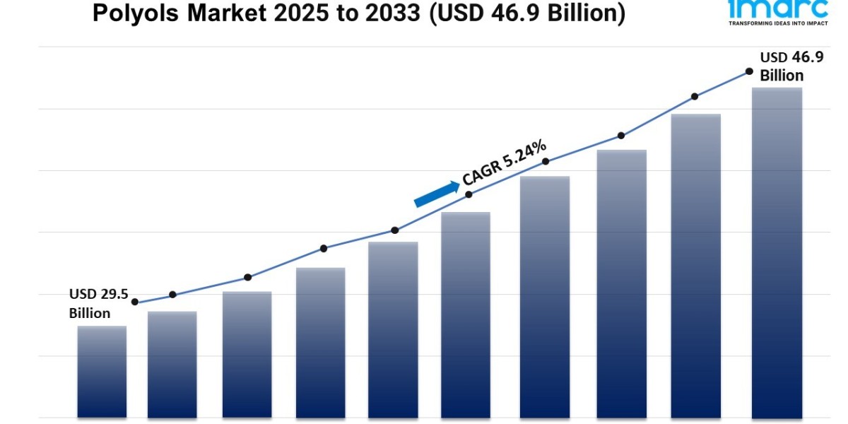 Polyols Market Size, Share, Scope, Growth, and Forecast 2025-2033