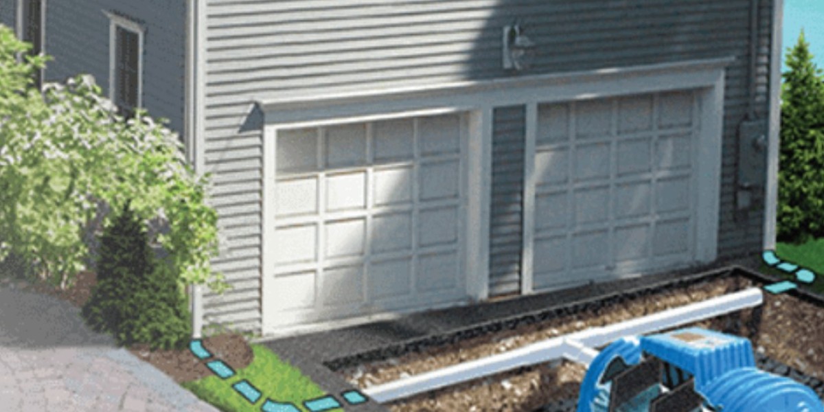 Discover the Best Basement Waterproofing Companies in South Jersey