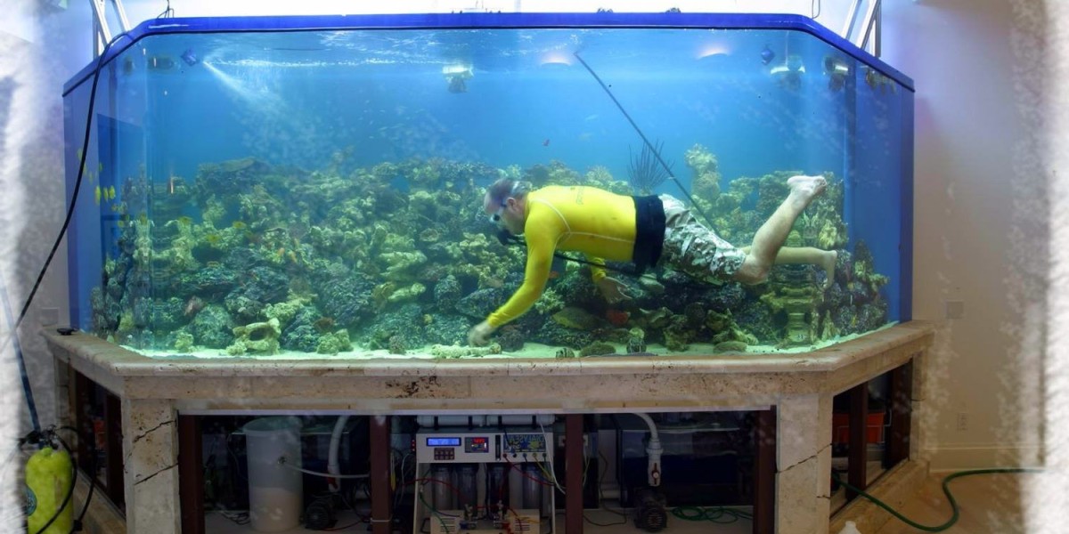 Aquarium Water Treatment Market Growth Driven by Technological Advances, Consumer Trends, and Sustainability Awareness.