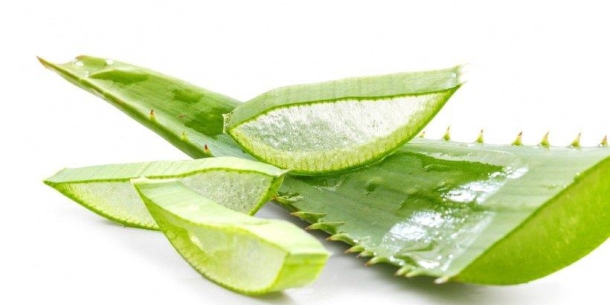 Aloe Vera Extracts Market Long-Term Outlook: Opportunities and Risks