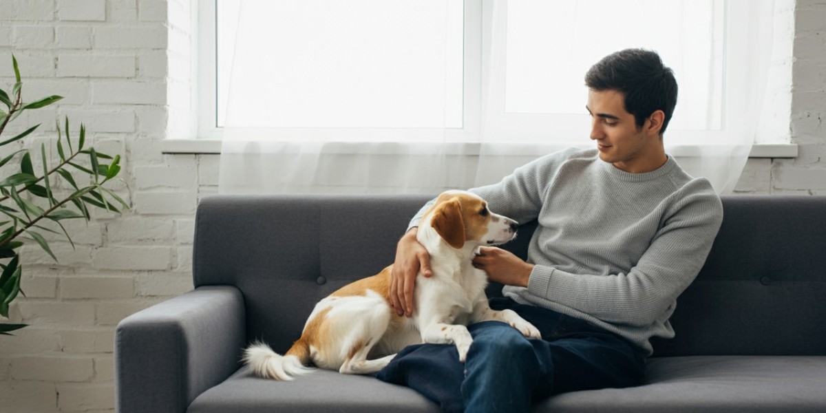 ¿Cuáles son los factores más importantes a considerar al elegir un perro como mascota?