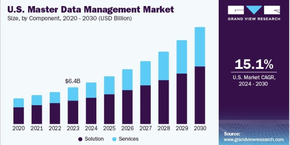 Master Data Management Market 2030: Innovations in Service Offerings Driving Growth