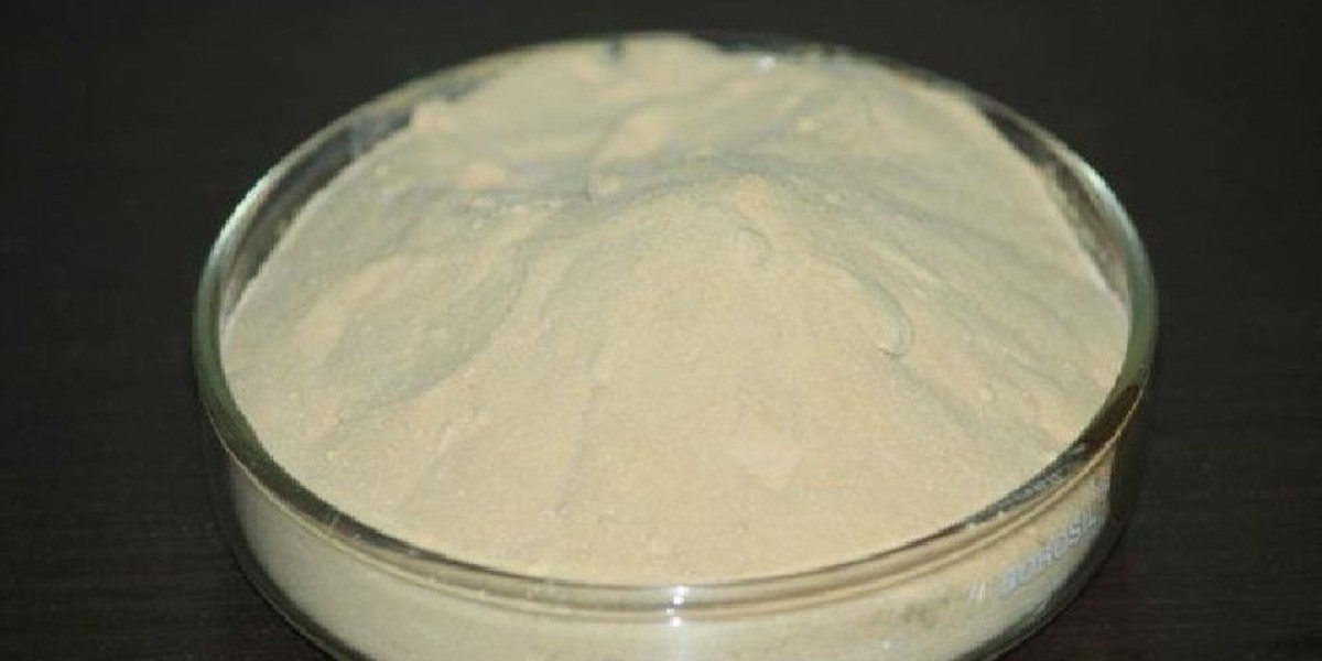 Fractionated Fatty Acid Market Potential: Unlocking Opportunities in Emerging Economies and Established Industry Segment