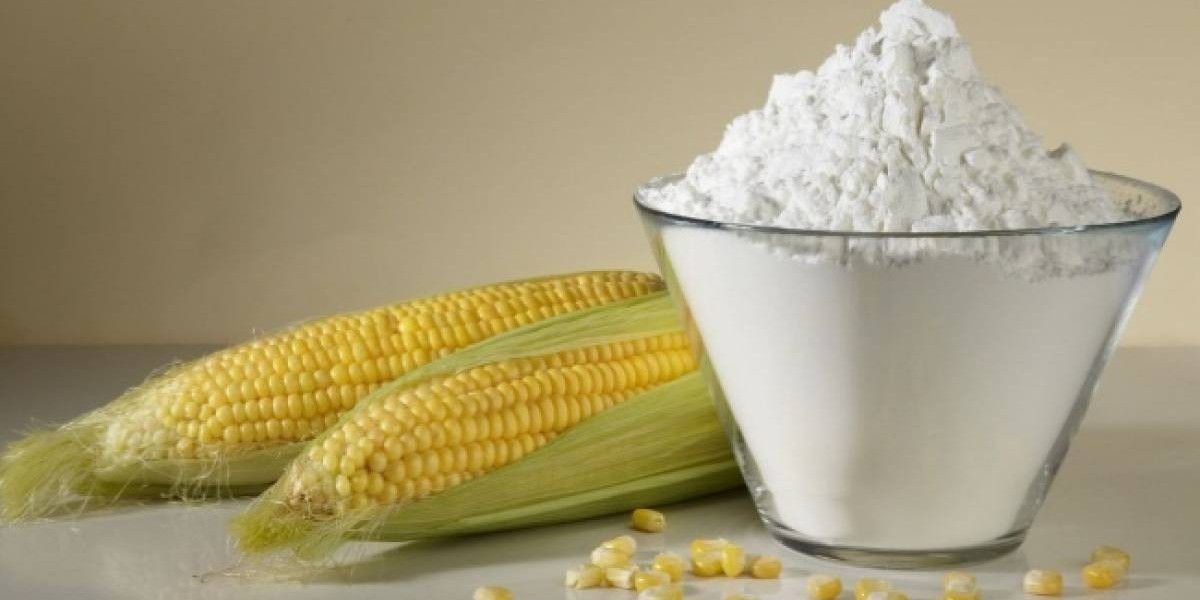 Native Starch Market Developments and Innovations: Key Trends Driving Change and Shaping Industry Growth