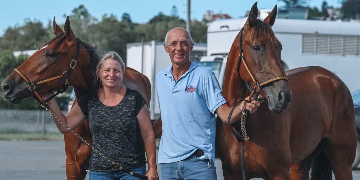 live harness racing in brisbane