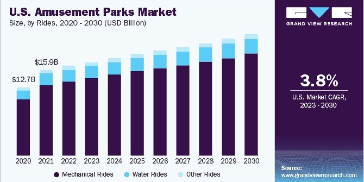Amusement Parks Market Growth Driven by Increasing Family Entertainment Demand