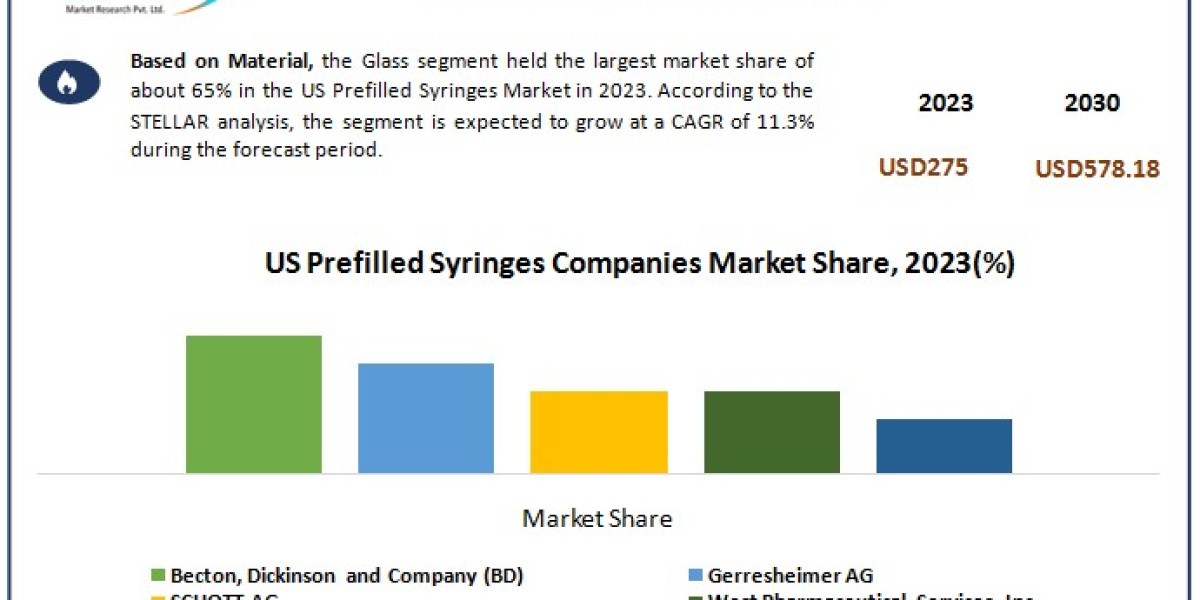 US Prefilled Syringes Market	Beyond the Numbers Game: Size, Share, Revenue, and Statistics Overview | 2024-2030