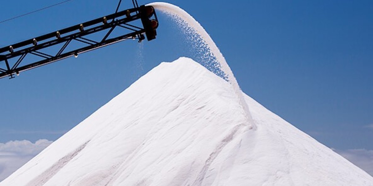 Industrial Salt Market Pricing Trends and Market Dynamics